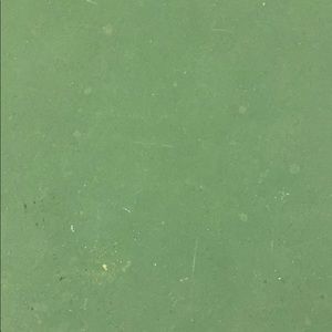 Meet your Posher, Bryan